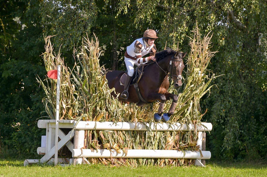 olympia 2016 eventing team reiten medaillen