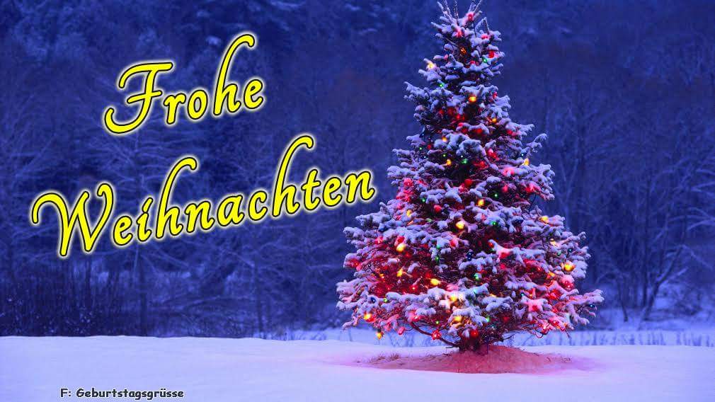 FB_IMG_1512386359043